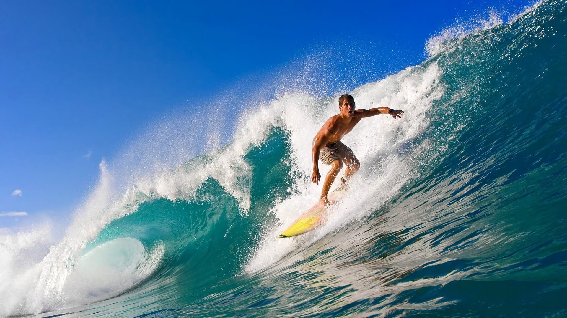 体育焦点赛事深度专栏,体育聚焦